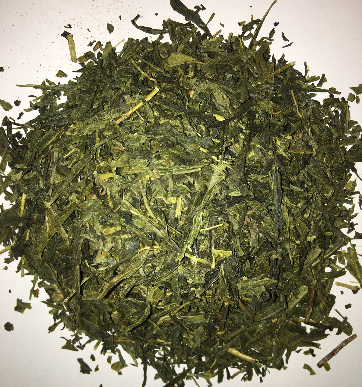 Sencha Makoto