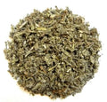 Salvia