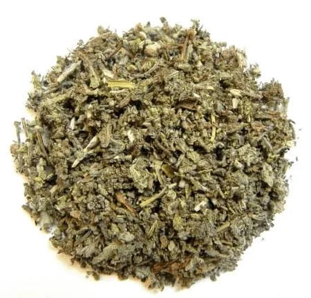 Salvia